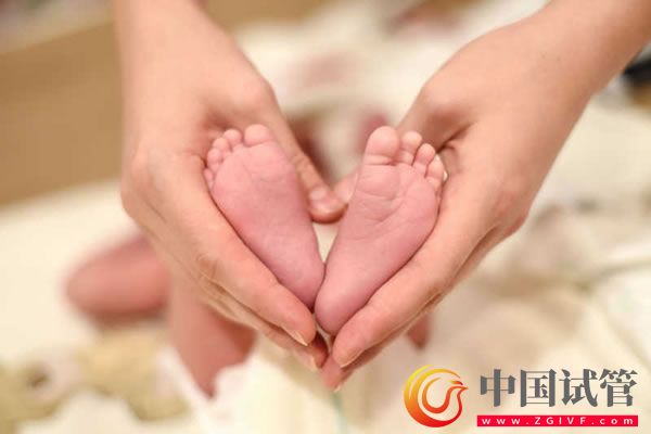 懷孕期間的必查項(xiàng)目一覽，從孕早期到孕晚期檢查可分這7次(圖1)