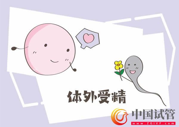 浙江大學(xué)醫(yī)學(xué)院附屬婦產(chǎn)科醫(yī)院(圖4) 浙江大學(xué)醫(yī)學(xué)院附屬婦產(chǎn)科醫(yī)院(圖4)