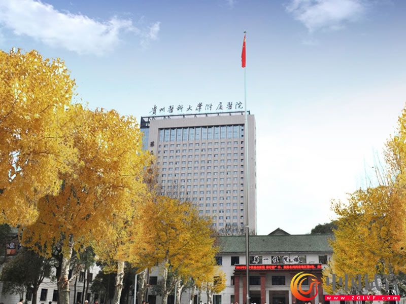 貴州醫(yī)科大學(xué)附屬醫(yī)院(圖2) 貴州醫(yī)科大學(xué)附屬醫(yī)院(圖2)
