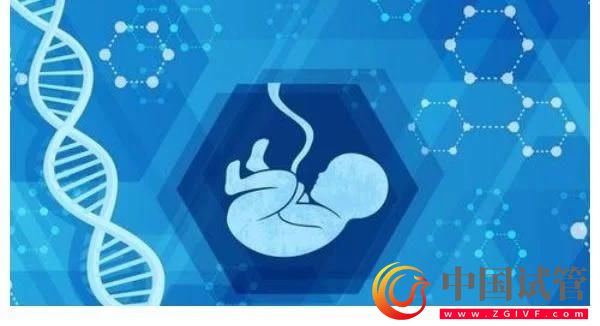 醫(yī)生建議人工授精幾次不成功就轉(zhuǎn)試管？(圖1)