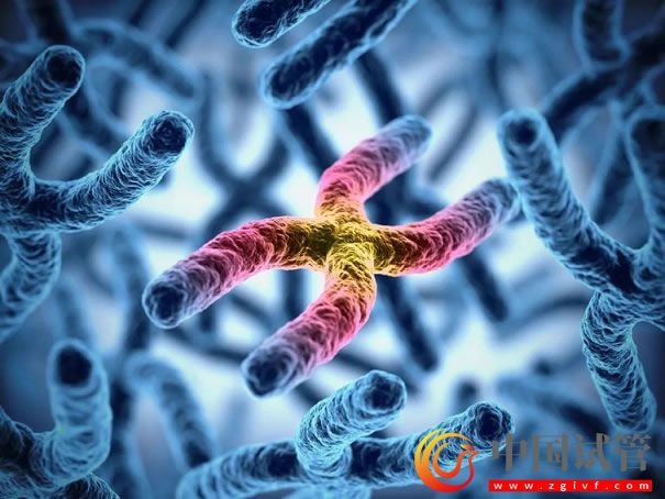 哪幾個區域的y染色體微缺失符合第三代試管指征？(圖1)