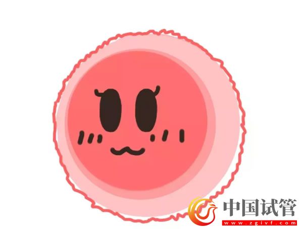 昌都哪些醫(yī)院可以做第三代試管嬰兒？(圖1)