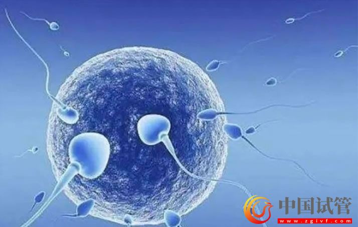 牡丹江婦幼保健院人工授精經驗，單次費用范圍約8000-10000元(圖2)
