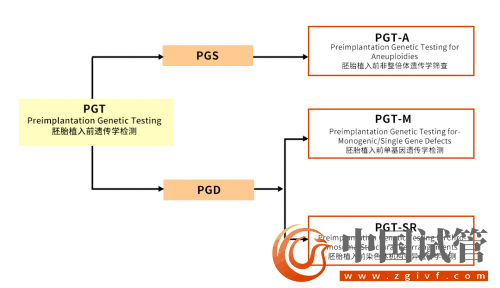 什么是PGT、PGS和PGD？(圖4)