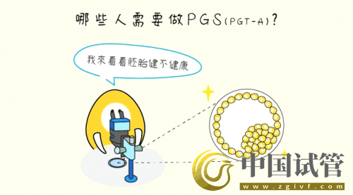 什么是PGT、PGS和PGD？(圖5)