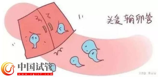 卵巢早衰卵泡不發育怎么辦？卵巢早衰可以借卵試管生孩子嗎？(圖5)