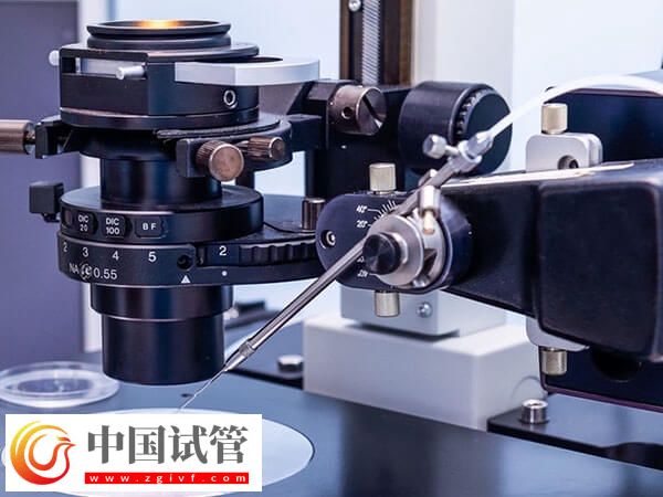 新鄉(xiāng)供卵試管嬰兒2個(gè)月就能完成，但這五個(gè)步驟可不能忽視(圖1)
