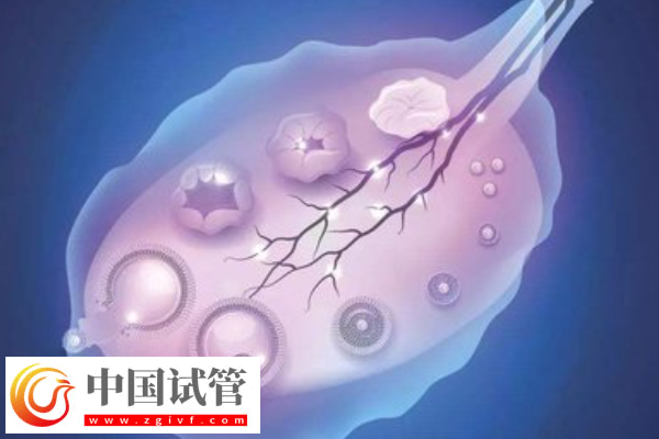 許昌三代試管機(jī)構(gòu)騙局科普，一文叫你如何防止被騙(圖1)