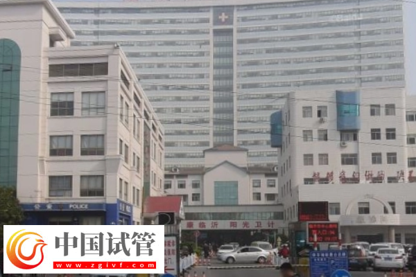 臨沂助孕公司哪家好，選他讓你試管成功率有保證(圖1)