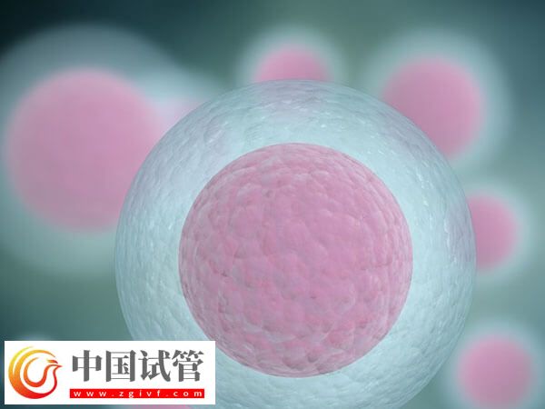 女性卵子質(zhì)量差易不孕，日常補(bǔ)鐵好處多多！(圖1)