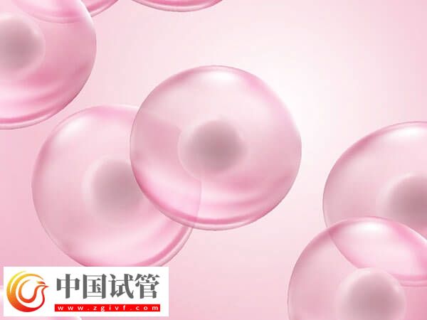 女性卵子質(zhì)量差易不孕，日常補(bǔ)鐵好處多多！(圖2)