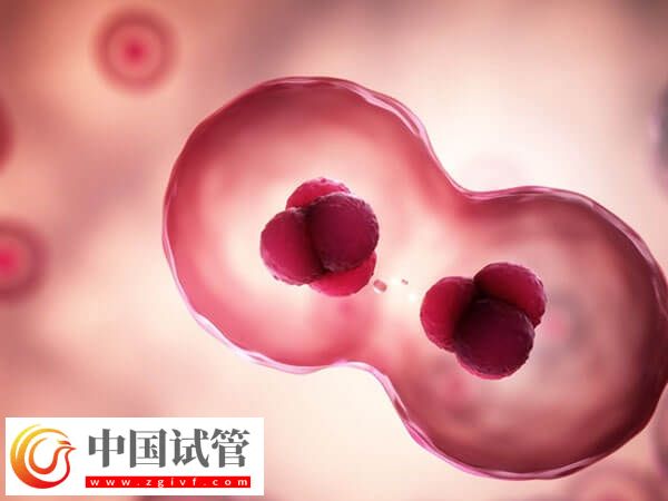 促排期間腹部不舒服、體溫升高要小心，可能是卵泡早排！(圖1)