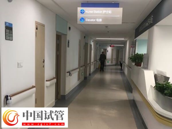 西寧公立供卵試管嬰兒醫院介紹，這兩家口碑、技術都不賴(圖1)