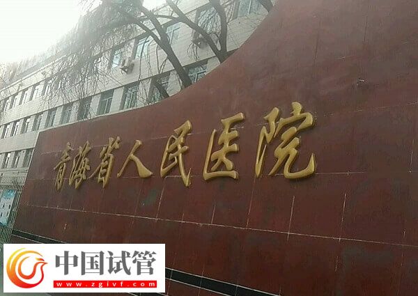 青海省人民醫院供卵試管嬰兒多少錢(圖1)