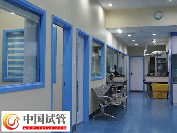 蘇北人民醫院試管嬰兒生雙胎價格并不高，單周期3萬搞定(圖2)