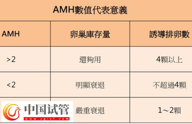 試管取卵泡數(shù)量的多少跟患者的amh值有關(guān)系嗎？(圖1)