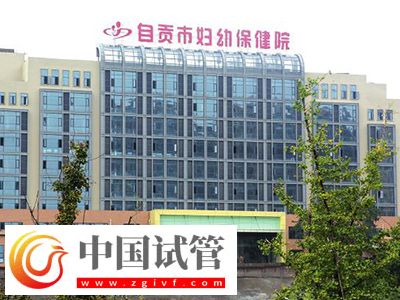 自貢二代試管嬰兒多少錢，成功率高嗎？(圖1)