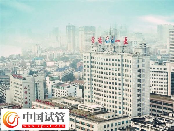 常德市第一人民醫(yī)院試管嬰兒怎么樣，成功率&費(fèi)用來說話(圖1)