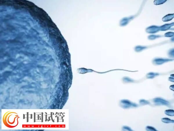 大理做第三代試管嬰兒費(fèi)用是多少錢(qián)，哪醫(yī)院做？(圖1)