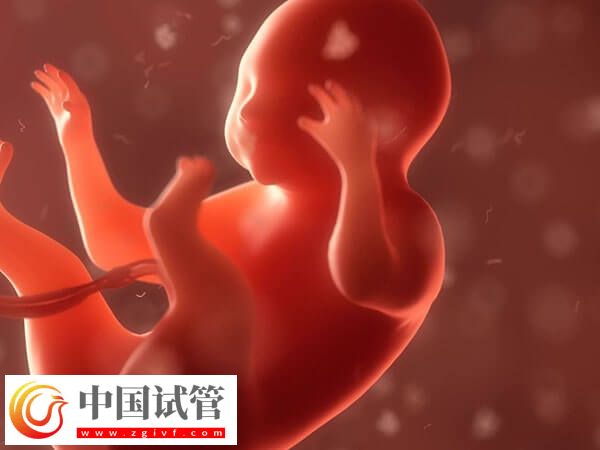 囊胚著床失敗or生化判斷方法匯總，看時(shí)間是技巧之一(圖1)