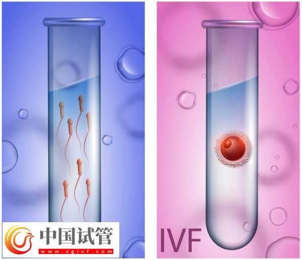 囊胚等級與寶寶健康之間有關系嗎？(圖5)
