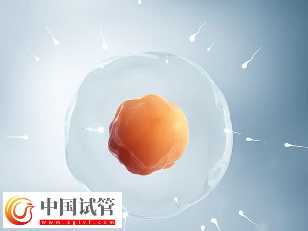 唐山市人授檢查到保胎全程分享，單周期治療一個月結(jié)束(圖1)