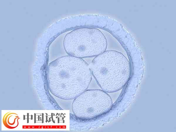長治和平醫院試管嬰兒醫生多，附十位知名專家介紹(圖1)