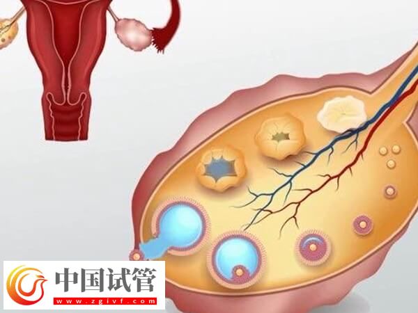 鞏義人工助孕機(jī)構(gòu)排行榜揭曉，市婦幼保健院口碑第一(圖2)