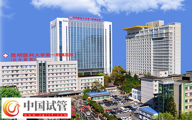 云大醫院試管嬰兒費用明細表來了，單周期收費4萬元起(圖1)