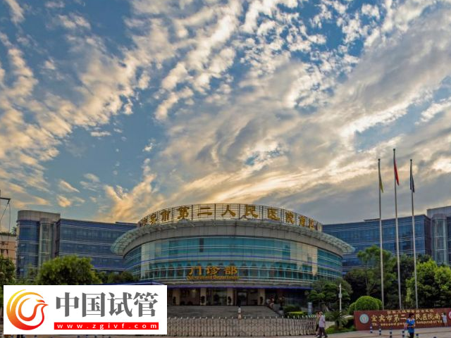 宜賓二醫院試管嬰兒花費單分享，驗孕保胎需要百元起步(圖1)