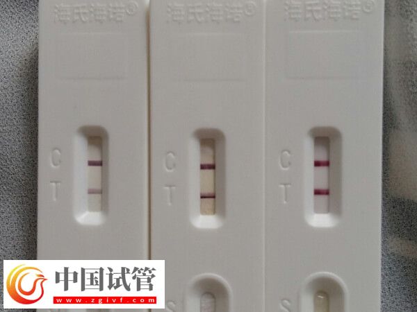 青島婦女兒童醫院助孕科普，內附開展項目及成功率(圖3)