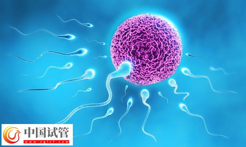 吉爾吉斯斯坦做試管嬰兒咋樣(圖1)
