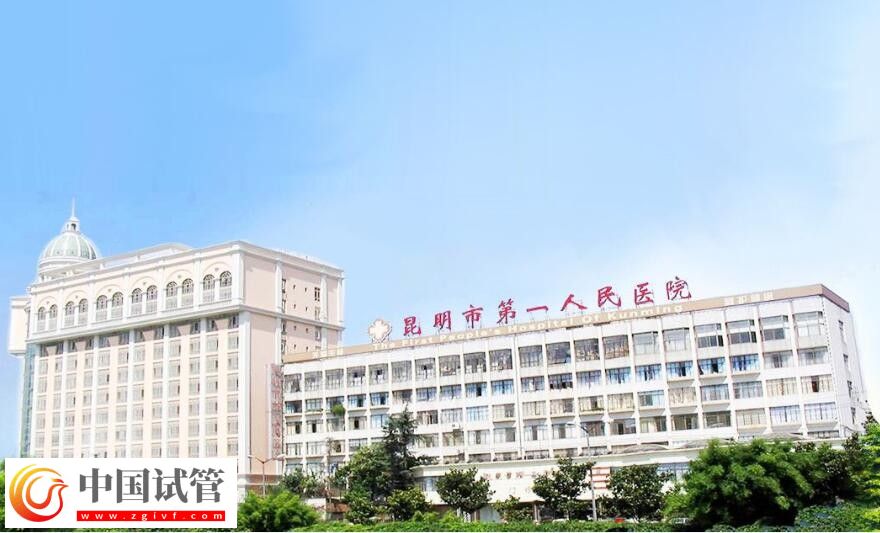 紅河有沒有做二代試管嬰兒的醫院？(圖8)