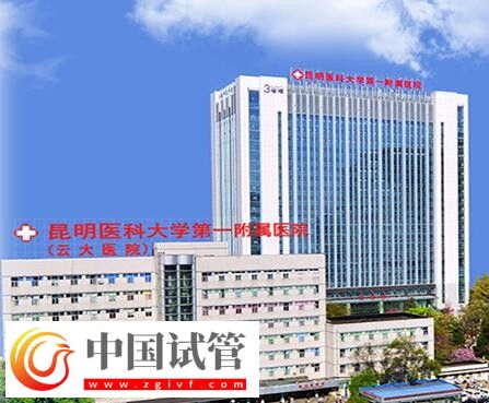 紅河有沒有做二代試管嬰兒的醫院？(圖10)