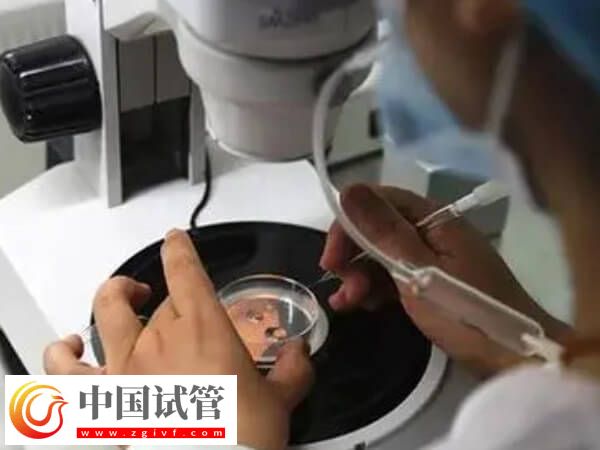 嵌合體30%其實(shí)也可以做試管嬰兒移植，比例才是成功關(guān)鍵(圖2)