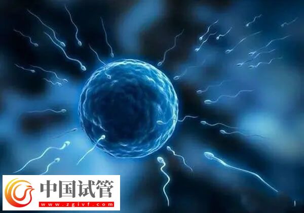 人工授精的危害有哪些(圖1)
