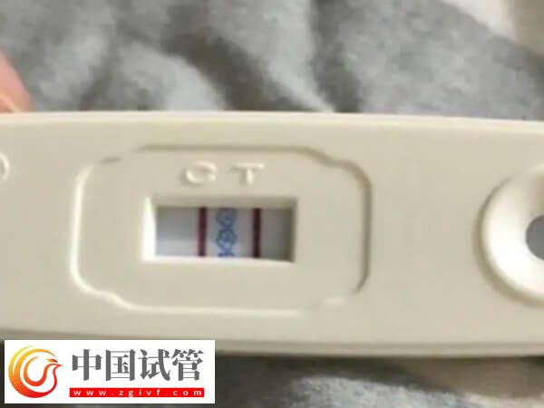 試管嬰兒取卵要適當飲用蛋白粉，對內膜恢復有積極作用！(圖1)