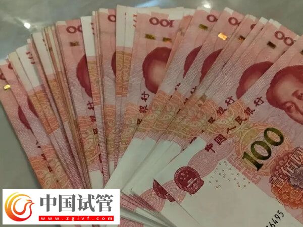 美國試管嬰兒最新花銷速覽，共計預算多少一目了然(圖1)