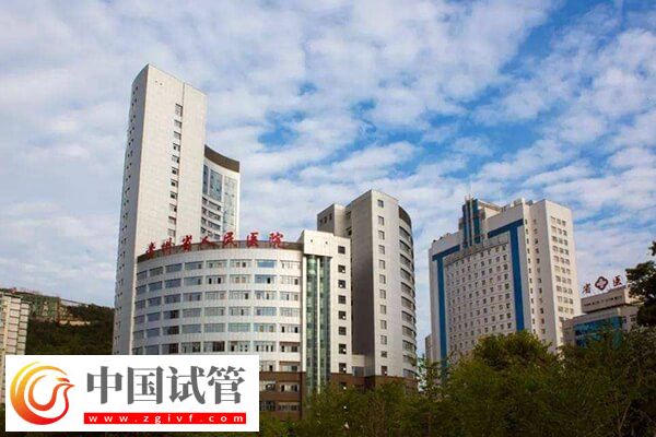 貴州二代試管嬰兒醫(yī)院名單大全，這幾家助孕率賊高！(圖2)