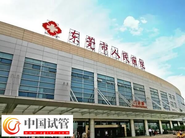 東莞二代試管嬰兒高移植率醫(yī)院匯總，附最新助孕率(圖1)