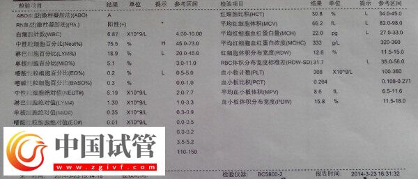 患地貧做三代試管嬰兒報價大公開，過來人：胚胎篩查就得1萬(圖1)