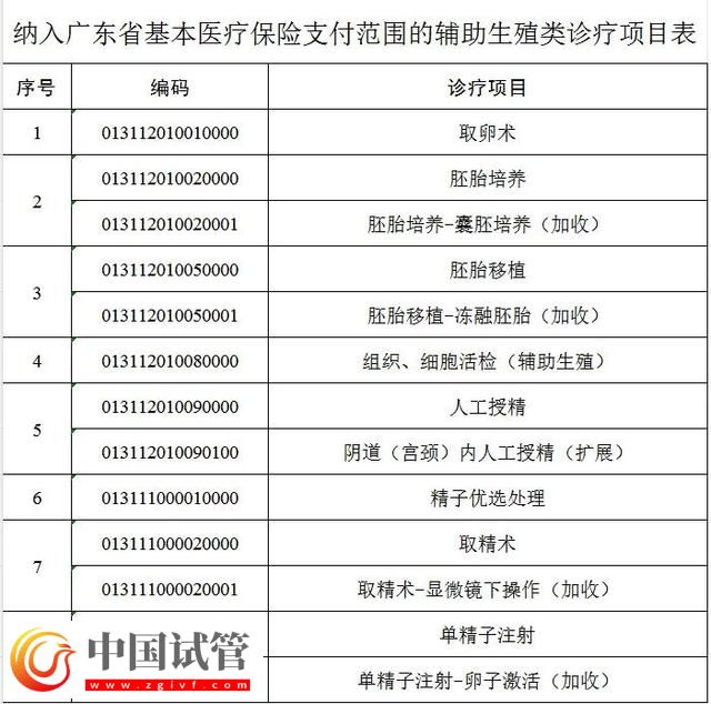 “試管嬰兒項目”可刷醫(yī)保！廣東最新政策，10月1日起實施(圖2)