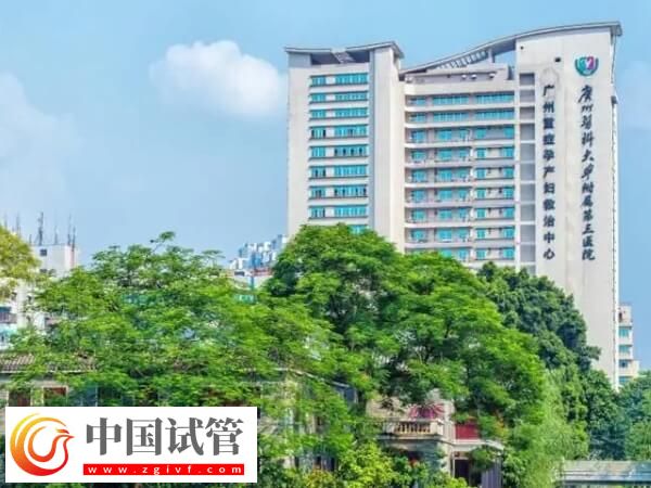 廣州三代試管嬰兒機構集合，這4家可供選擇！(圖1)