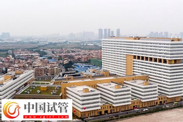 佛山試管嬰兒價格整理，做到這3點少花冤枉錢！(圖1)