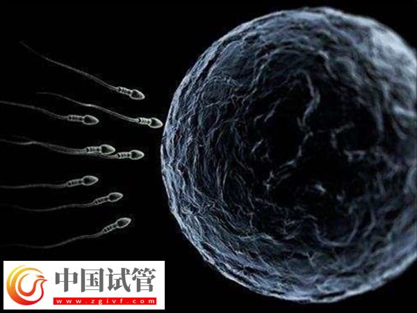 天津開展供精人工授精技術(shù)的醫(yī)院有哪幾家？(圖1)