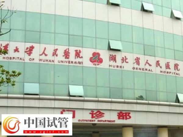 武漢大學(xué)人民醫(yī)院三代試管嬰兒花費(fèi)說(shuō)明：夫妻檢查2000元起步(圖1)