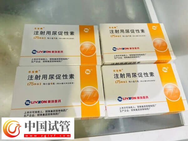 試管嬰兒促排期間幾個細節(jié)別忽視，掌握這5個要點受用整個周期(圖1)