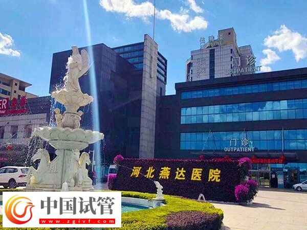 河北試管嬰兒機構介紹，1分鐘搞清楚廊坊哪家口碑不錯！(圖2)