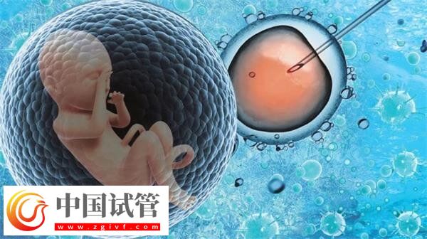 景德鎮(zhèn)市婦幼保健院試管費(fèi)用及成功率一網(wǎng)打盡，匯總?cè)?圖1)