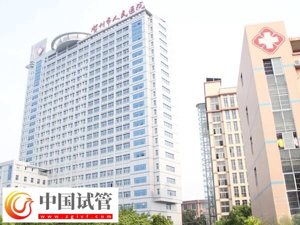 賀州能不能做試管嬰兒(圖1)